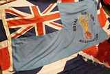 Royal Air Force Association Flag