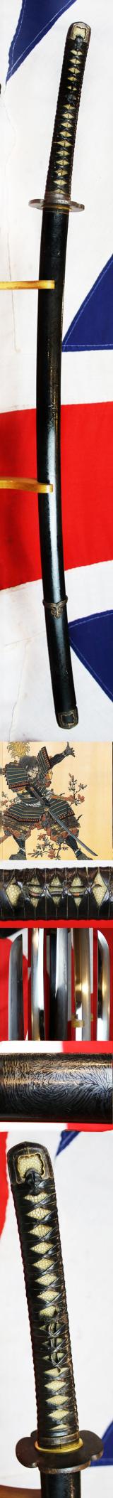 A Most Fine and Impressive Samurai Horseman's Handachi Katana. Shinto Period From the 1600's Around 400 Years Old. Semi Tachi Mounted. Dressed in a Full Suite Of Matching Original Edo Koshirae To Be Worn On Horseback