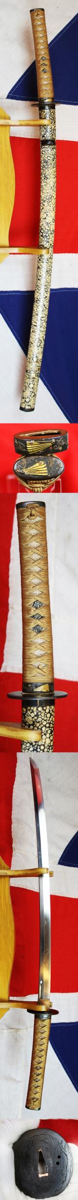 A Beautiful 15th Century Chisa Katana Sword, Around 600 Years Old, Signed Nobukuni. From The Japanese Warring States Period. Gold Fan & Shakudo Fuchigashira and Polished Samegawa Saya.